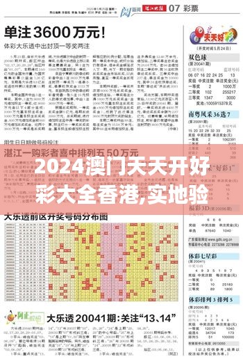 2024澳门天天开好彩大全香港,实地验证策略方案_专业款174.898-4