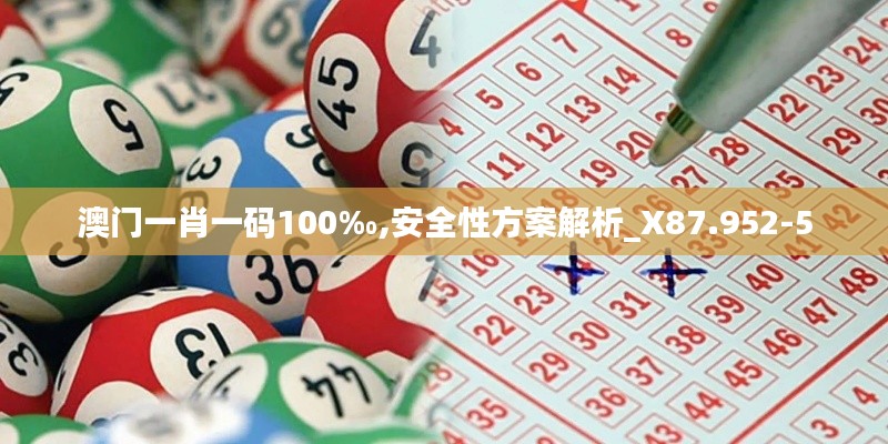 澳门一肖一码100‰,安全性方案解析_X87.952-5