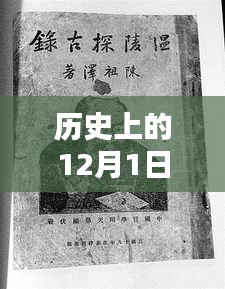 历史上的12月1日泉州热门病，全面评测与深度解析