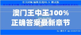 澳门王中王100%正确答案最新章节,实地验证分析数据_ios21.699-9