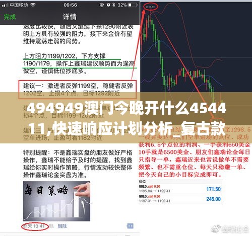 494949澳门今晚开什么454411,快速响应计划分析_复古款14.289-3