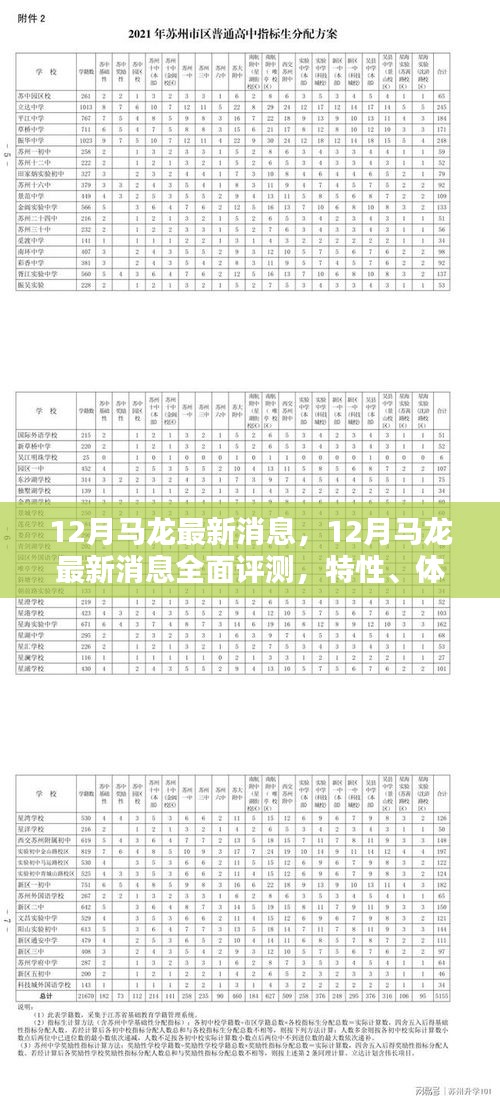 马龙最新动态，全面评测与深度分析，特性、体验、对比及用户群体洞察