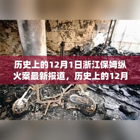 浙江保姆纵火案最新报道，深度分析与用户洞察回顾历史转折点事件纪实报道分析标题，纵火案背后的真相揭秘与深度洞察回顾历史转折点事件纪实报道分析。