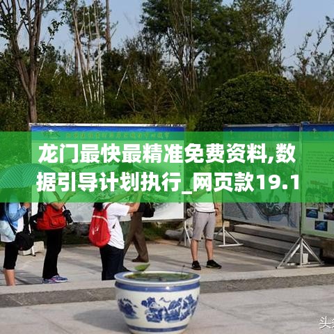 龙门最快最精准免费资料,数据引导计划执行_网页款19.118-9