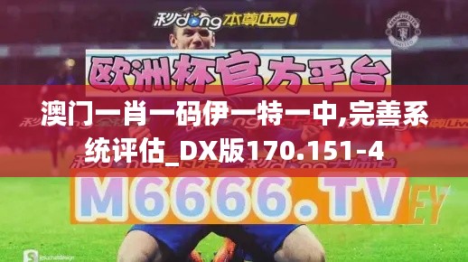 澳门一肖一码伊一特一中,完善系统评估_DX版170.151-4