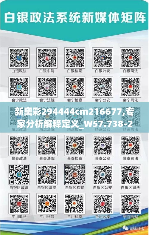 新奥彩294444cm216677,专家分析解释定义_W57.738-2