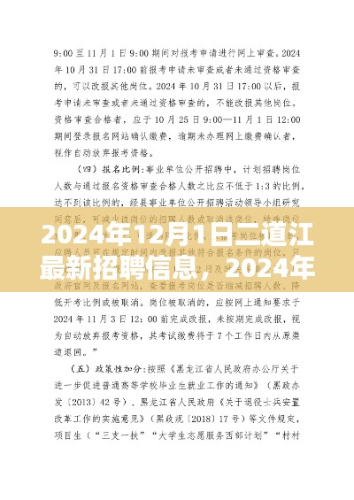 2024年二道江区最新招聘信息获取与应聘全攻略，12月1日二道江最新招聘速递