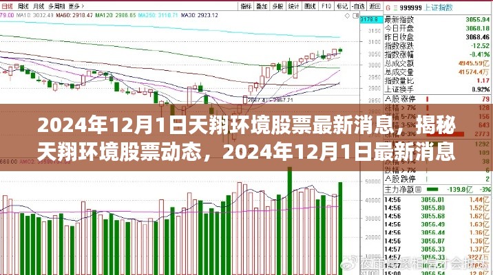 揭秘天翔环境股票动态，最新消息概览（2024年12月1日）