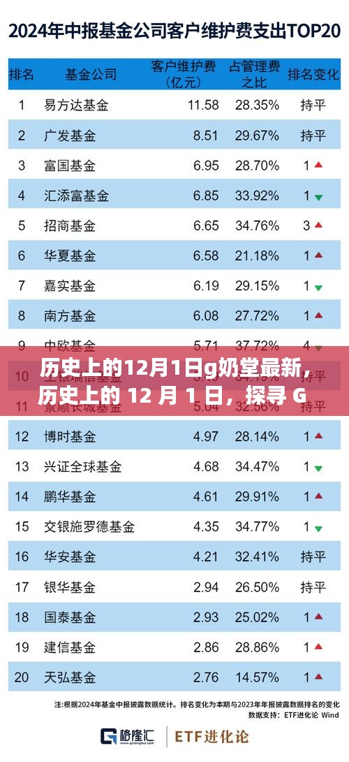历史上的12月1日探寻G奶堂之旅，与自然共舞，寻找内心宁静的奇妙之旅