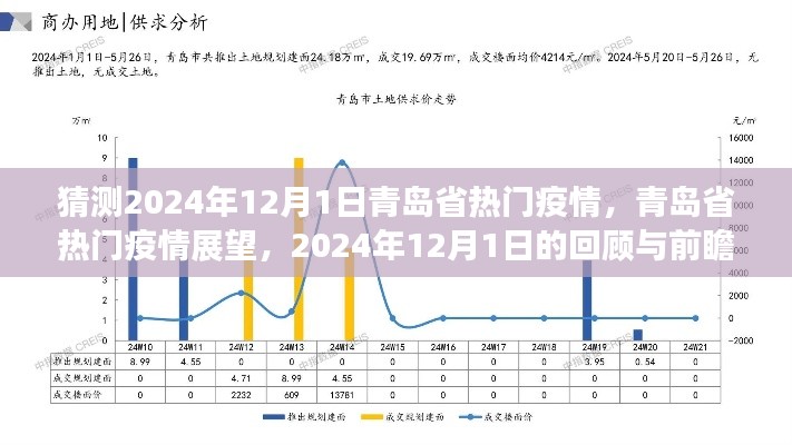 青岛省热门疫情展望，回顾与前瞻至2024年12月1日的发展趋势分析