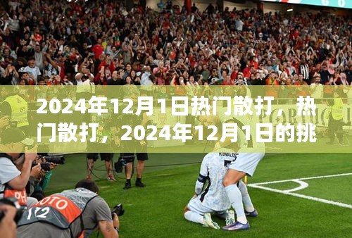 2024年12月1日散打挑战与机遇，热门散打赛事展望