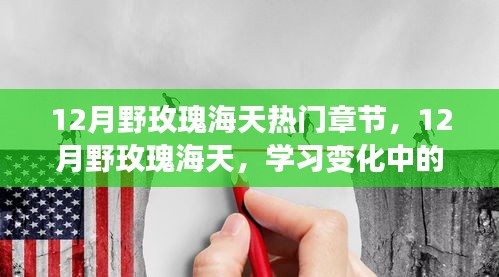 鼓舞人心的励志之旅，12月野玫瑰海天中的自信与成就感蜕变之路