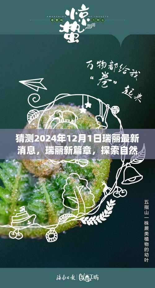瑞丽新篇章，探索自然秘境，心灵旅行的启程（最新消息预测）