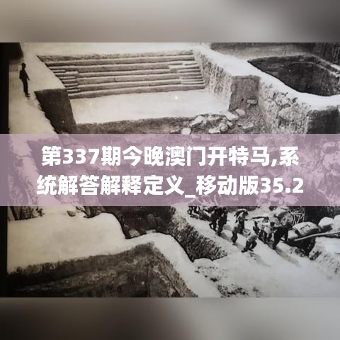 第337期今晚澳门开特马,系统解答解释定义_移动版35.200-6