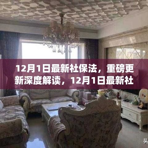 深度解读，最新社保法实施细节与影响洞察
