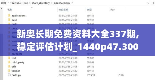 新奥长期免费资料大全337期,稳定评估计划_1440p47.300-1