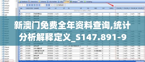 新澳门免费全年资料查询,统计分析解释定义_S147.891-9