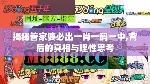 揭秘管家婆必出一肖一码一中,背后的真相与理性思考