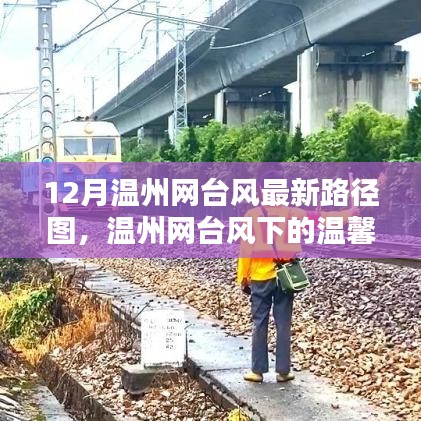 台风下的温馨日常，温州网台风路径图与欢乐时光的记录