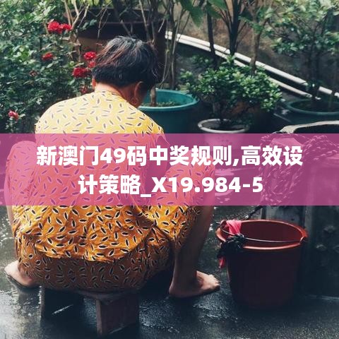 新澳门49码中奖规则,高效设计策略_X19.984-5