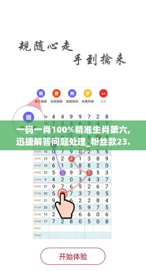 一码一肖100%精准生肖第六,迅捷解答问题处理_粉丝款23.800-2
