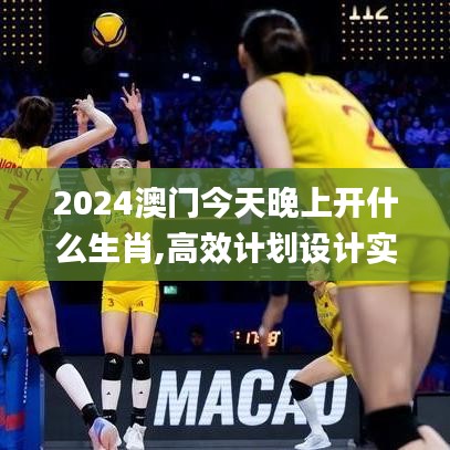 2024澳门今天晚上开什么生肖,高效计划设计实施_WearOS23.282-6