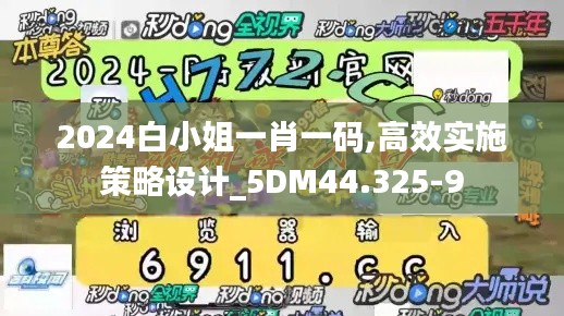 2024白小姐一肖一码,高效实施策略设计_5DM44.325-9