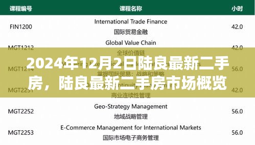 陆良最新二手房市场概览（2024年12月版，房源信息及市场动态）