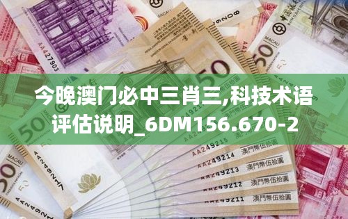 今晚澳门必中三肖三,科技术语评估说明_6DM156.670-2