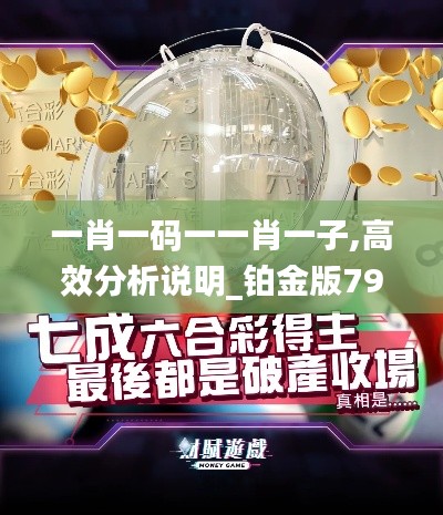一肖一码一一肖一子,高效分析说明_铂金版79.307-5