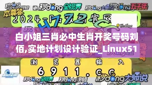 白小姐三肖必中生肖开奖号码刘佰,实地计划设计验证_Linux51.236-5