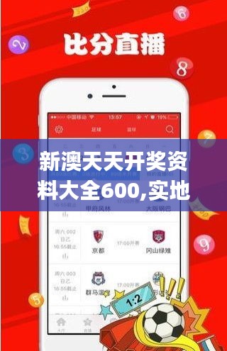 新澳天天开奖资料大全600,实地考察数据设计_手游版152.906-6