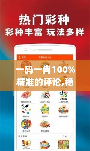 一码一肖100%精准的评论,稳定策略分析_探索版83.563-1