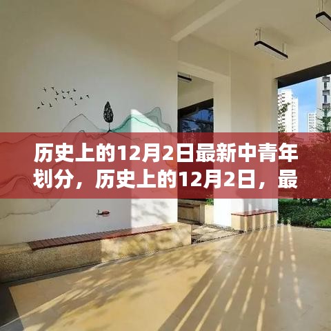 历史上的12月2日，中青年划分深度解析与最新标准