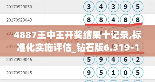 4887王中王开奖结果十记录,标准化实施评估_钻石版6.319-1