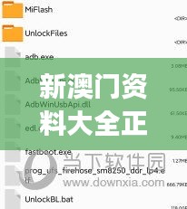 新澳门资料大全正版资料2024年免费下载,优选方案解析说明_UHD款41.378-3