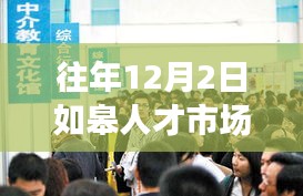如皋人才市场12月2日盛况揭秘，职场与自然的交融盛会