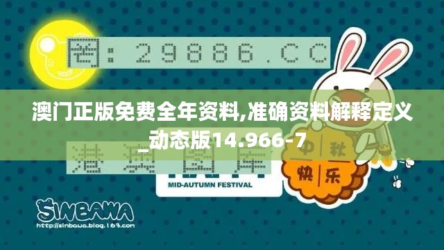 澳门正版免费全年资料,准确资料解释定义_动态版14.966-7