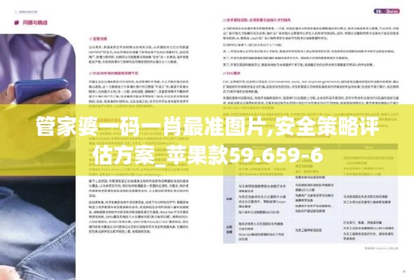管家婆一码一肖最准图片,安全策略评估方案_苹果款59.659-6
