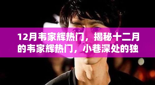 揭秘韦家辉十二月小巷的独特风味，热门背后的故事