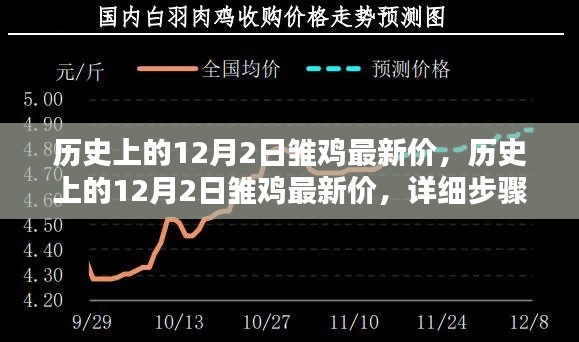 历史上的12月2日雏鸡最新价，详细步骤指南与价格解析