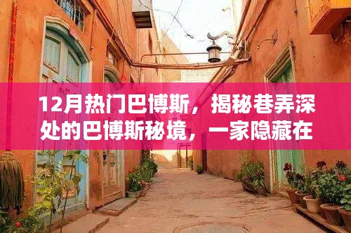 揭秘巷弄深处的巴博斯秘境，小巷中的巴博斯特色小店火爆十二月