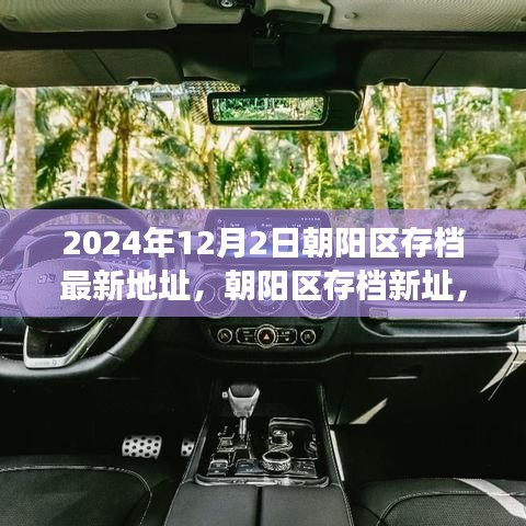 朝阳区存档新址，欢笑与爱的寻宝记之旅（2024年12月）