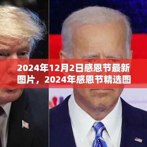 2024年感恩节精选图片回顾与赏析，最新图片一览