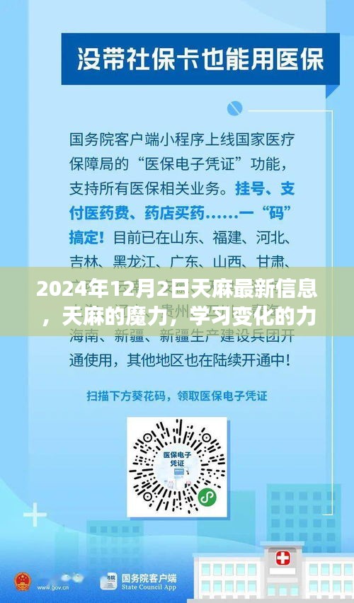 天麻最新信息揭秘，学习变化的力量与自信成就的未来