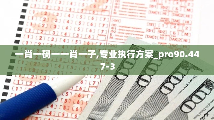 一肖一码一一肖一子,专业执行方案_pro90.447-3