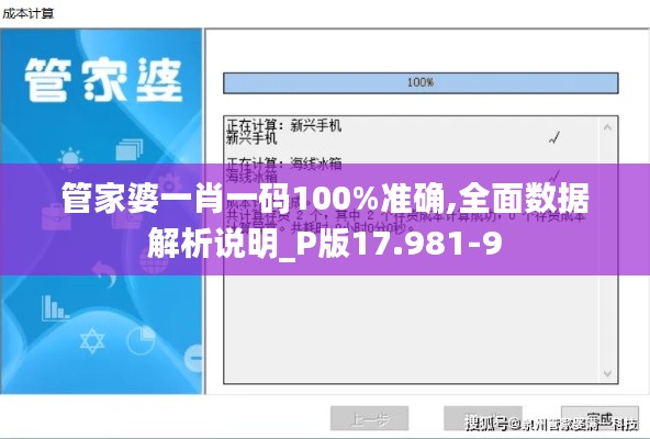 管家婆一肖一码100%准确,全面数据解析说明_P版17.981-9