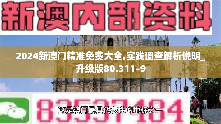 2024新澳门精准免费大全,实践调查解析说明_升级版80.311-9