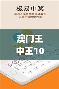 澳门王中王100%正确答案最新章节,深入解答解释定义_网页版165.559-2