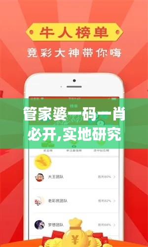 管家婆一码一肖必开,实地研究解析说明_suite13.333-9